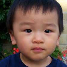 Donor 18100 Photo